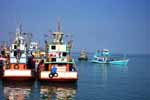 Fishing Boats
